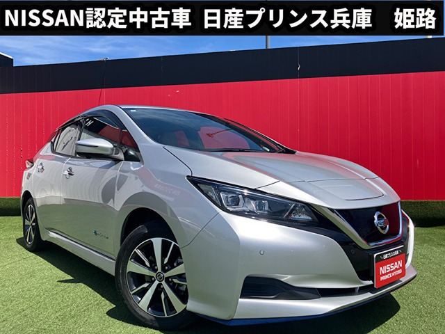 リーフe+ X