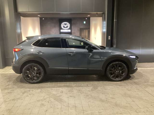 CX-301.8 XD ドライブ エディション
