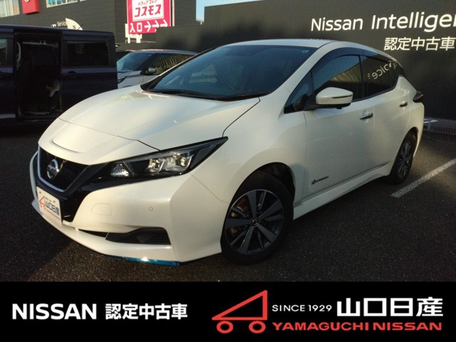 リーフe+ X