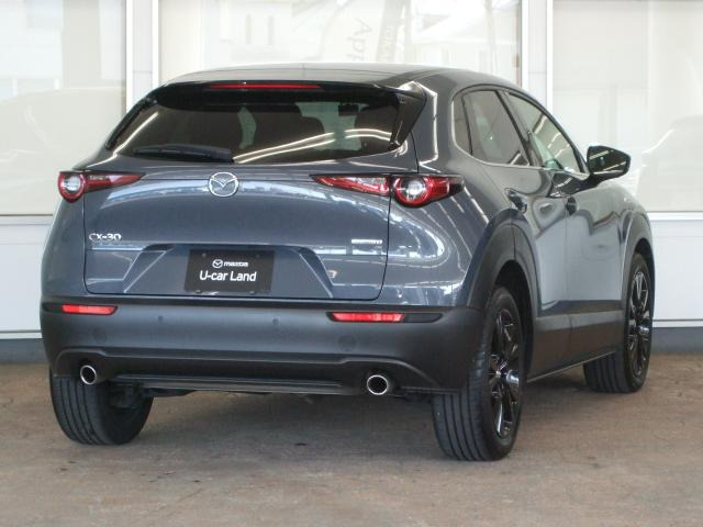 CX-30