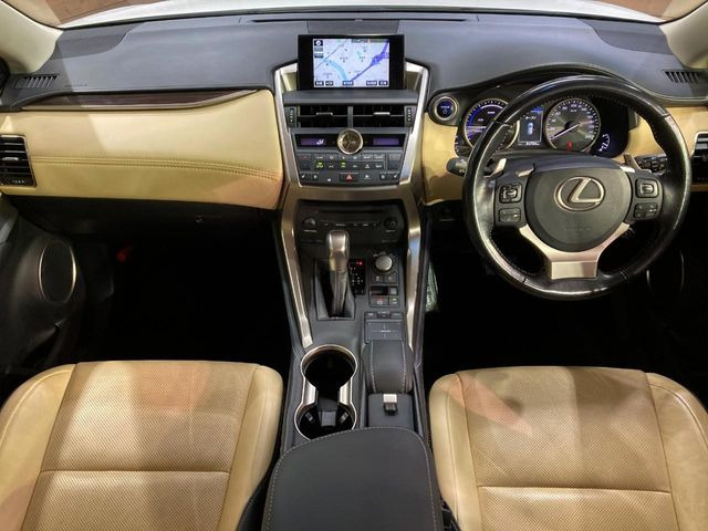 NX300h