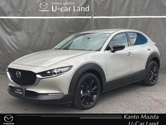 CX-30