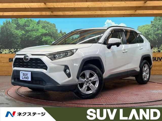 RAV42.0 X