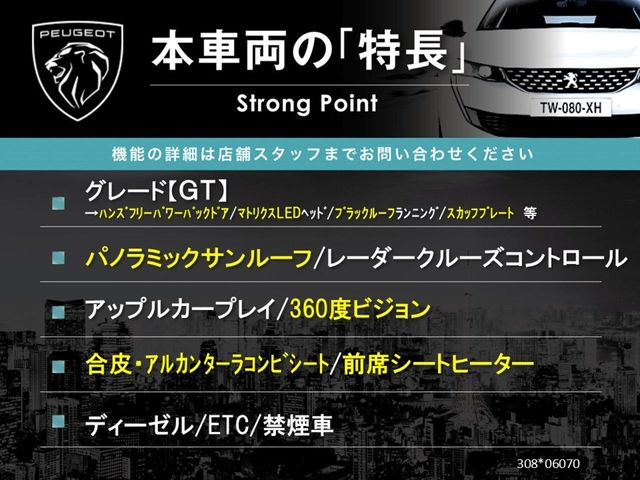 308SWアリュール
