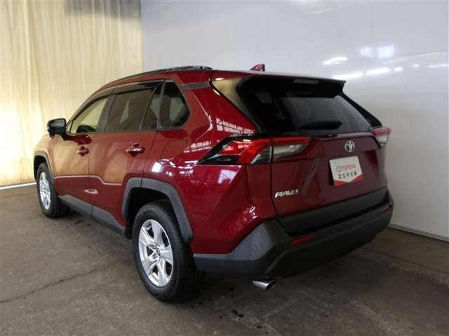 RAV42.0 X