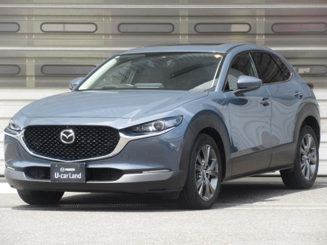 CX-30
