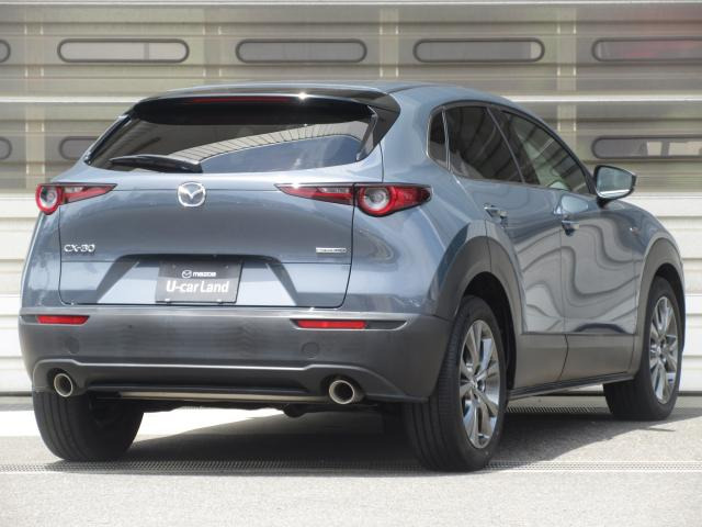 CX-30