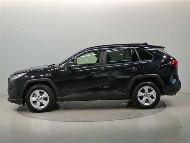 RAV42.0 X