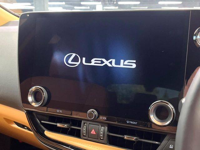 NX350h