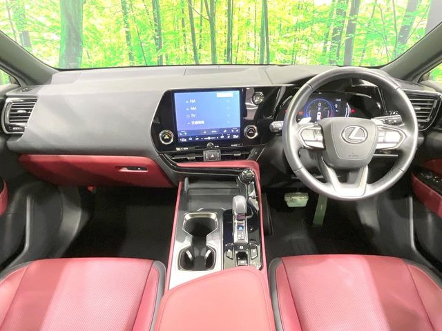 NX250