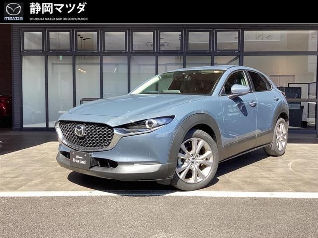CX-302.0 20S