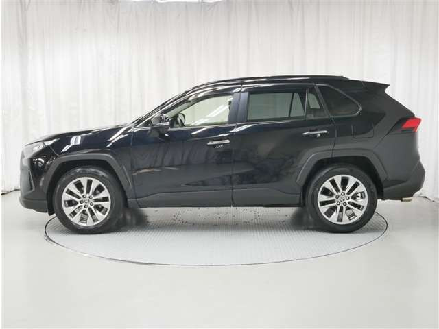 RAV4