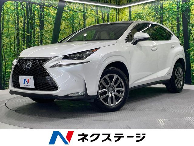 NX300h Iパッケージ