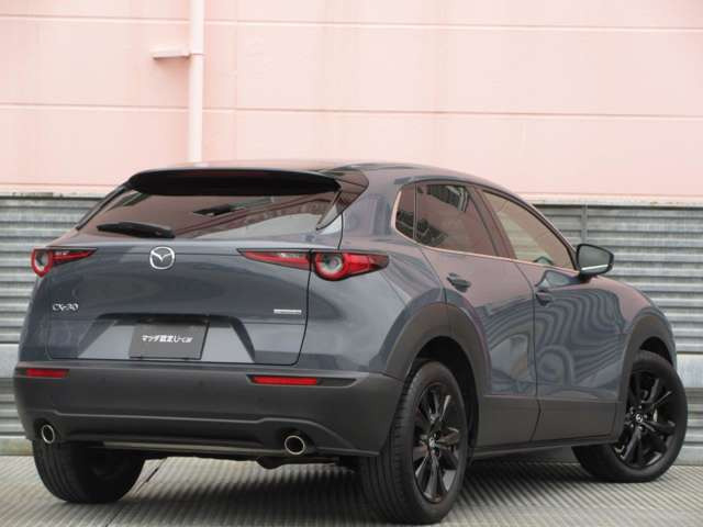 CX-302.0 20S