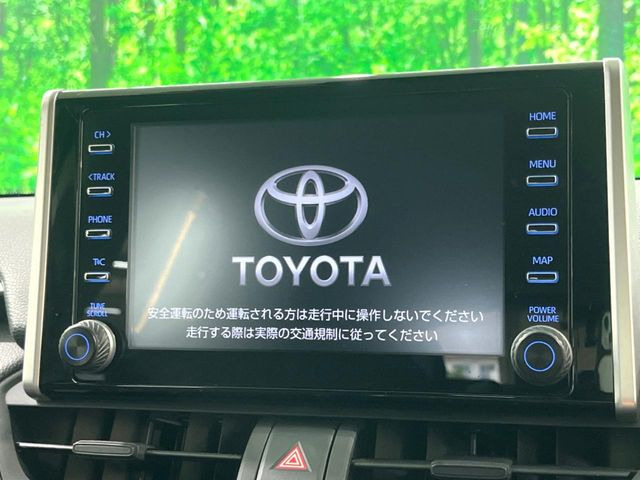 RAV42.0 X