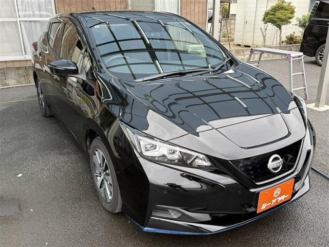 リーフe+ X