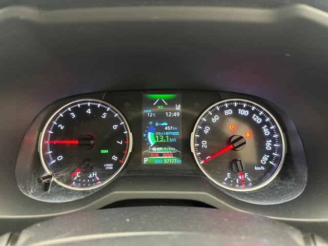 RAV42.0 X