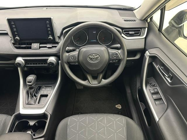 RAV42.0 X