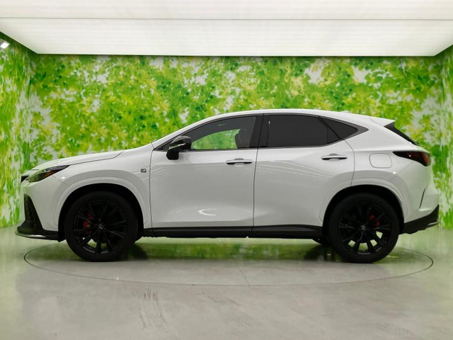 NX350 Fスポーツ 4WD