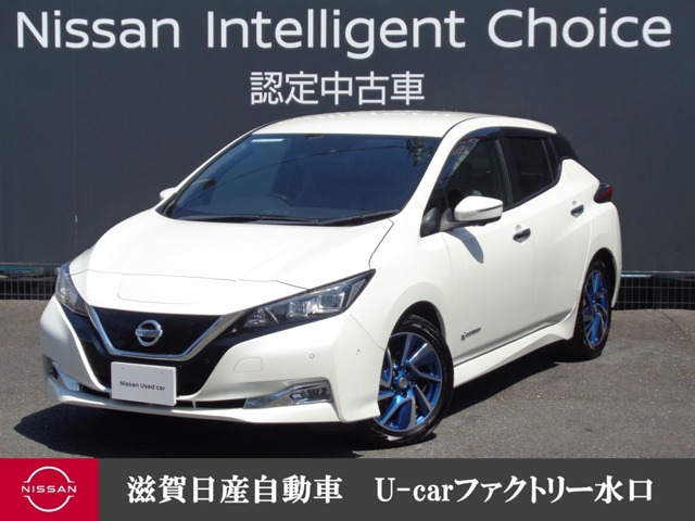 リーフG
