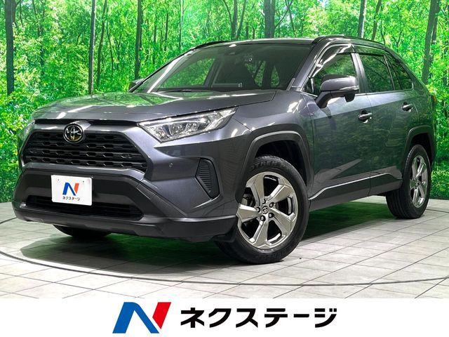 RAV42.0 X