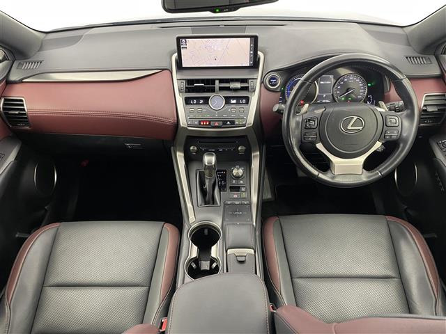 NX300h スパイス&amp;シック