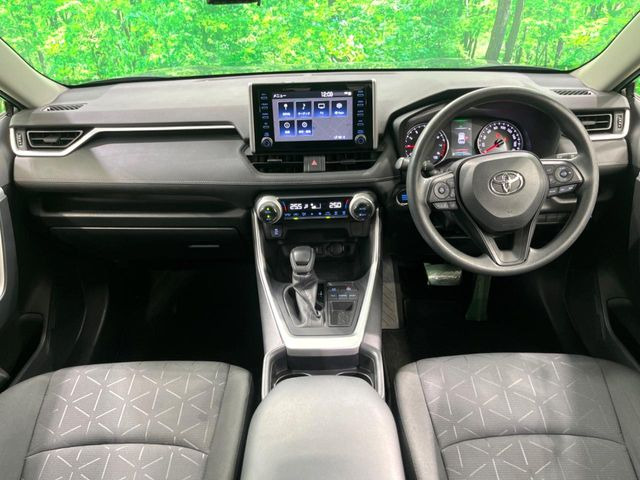 RAV42.0 X