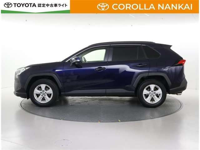 RAV42.0 X
