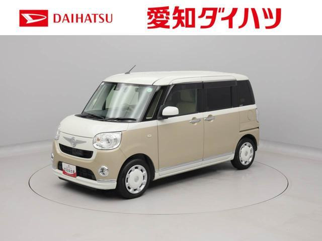 ムーヴキャンバスG メイクアップ SAII