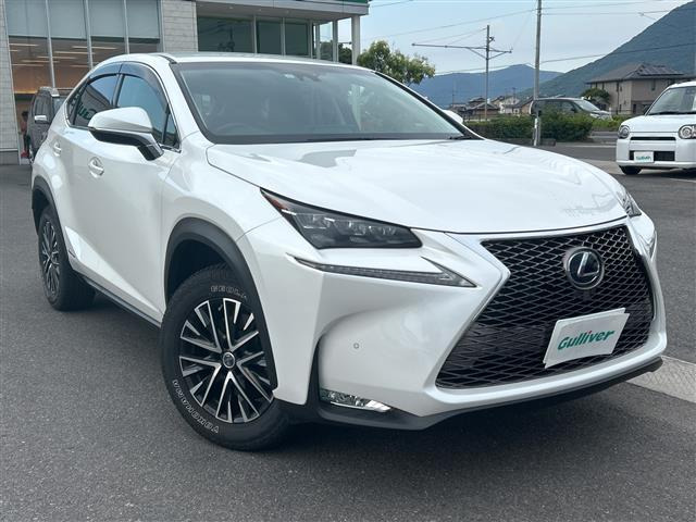 NX300h バージョンL