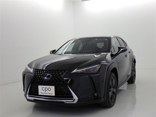 UX250h バージョンC