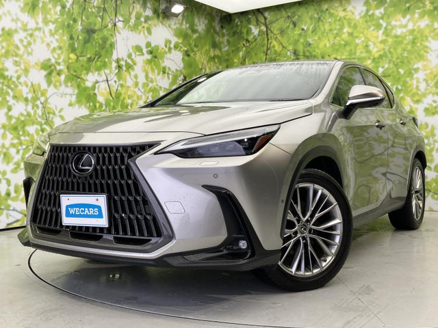 NX350h バージョンL