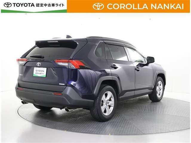 RAV42.0 X