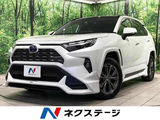 RAV42.5 ハイブリッド G E-Four 4WD