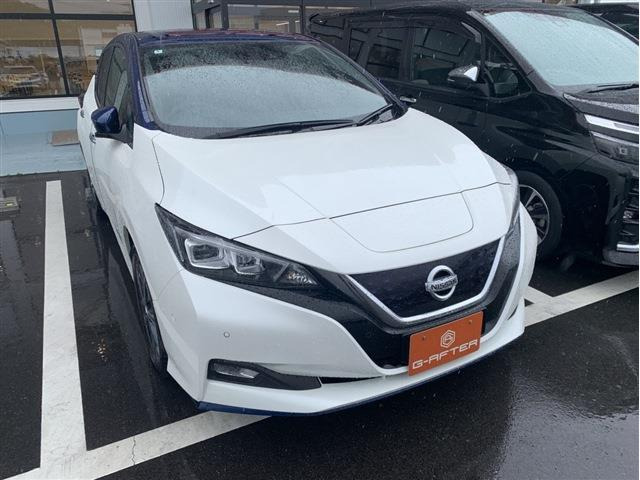 リーフe+ G