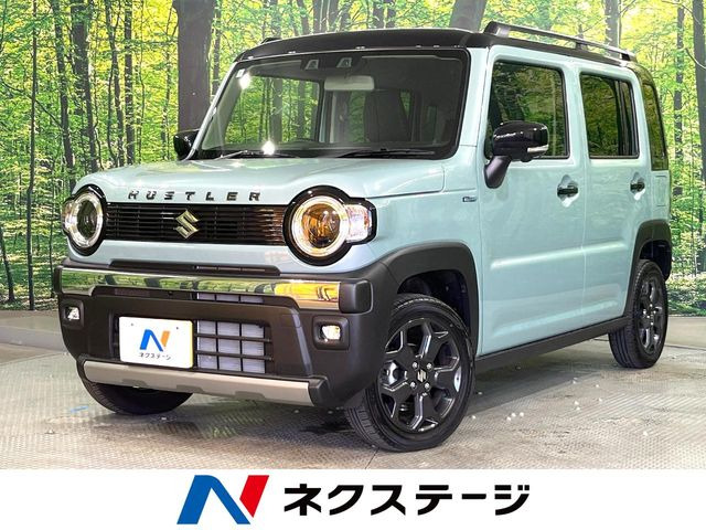 ハスラータフワイルド