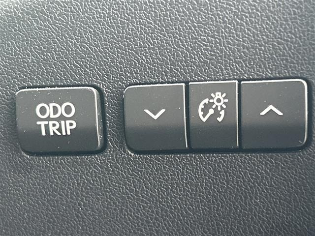 NX300h バージョンL