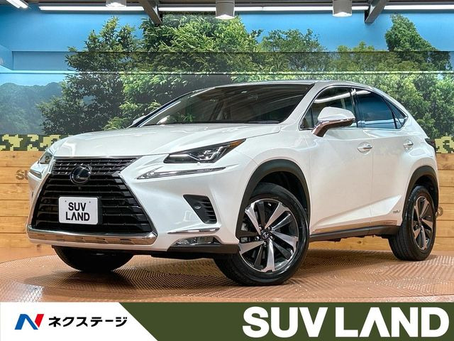 NX300h Iパッケージ