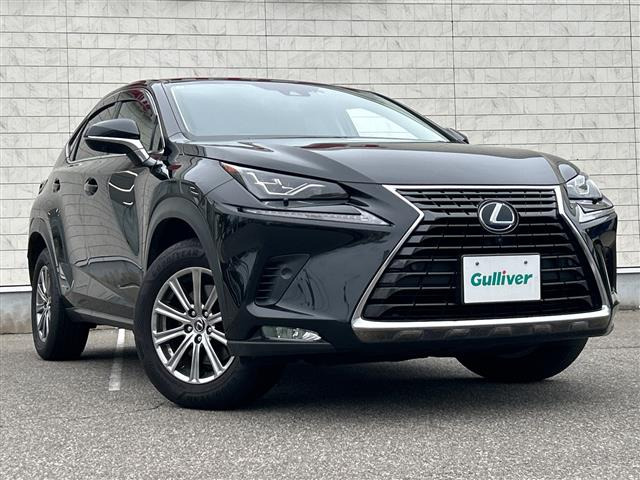 NX300h Iパッケージ