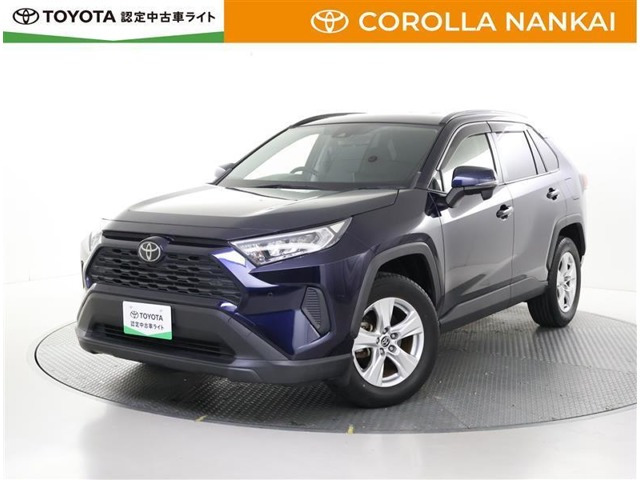 RAV42.0 X