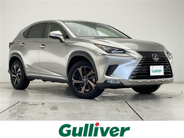 NX300h バージョンL