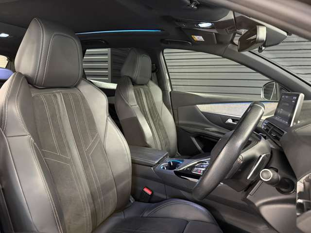 3008GT
