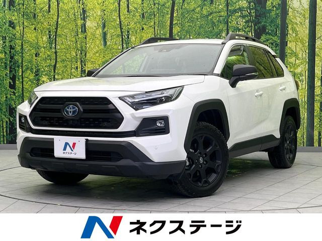 RAV42.5 ハイブリッド アドベンチャー オフロードパッケージ II E-Four 4WD