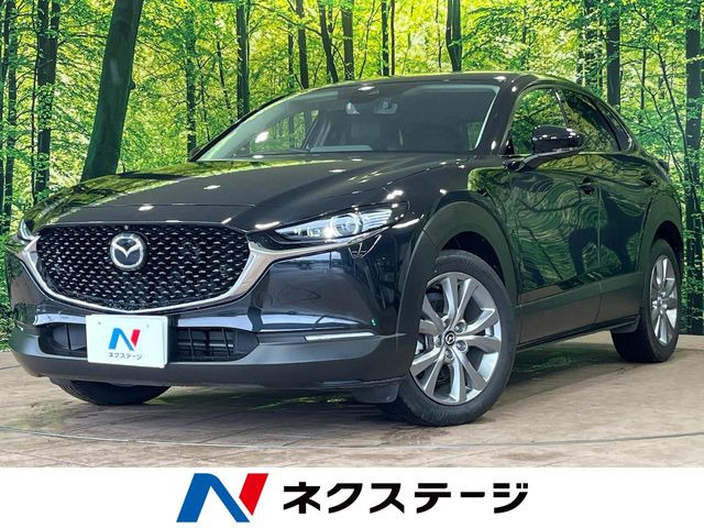 CX-301.8 XD Lパッケージ