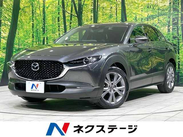CX-301.8 XD Lパッケージ