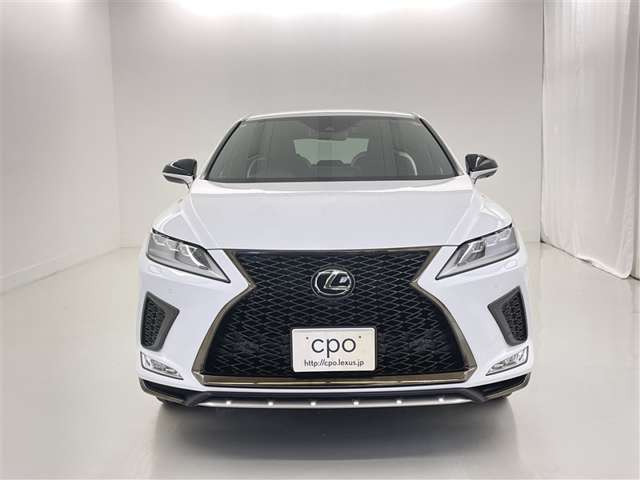 RX300 Fスポーツ