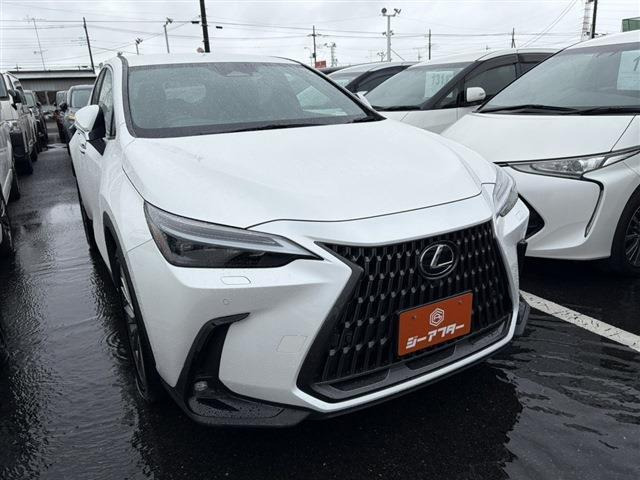 NX350h バージョンL