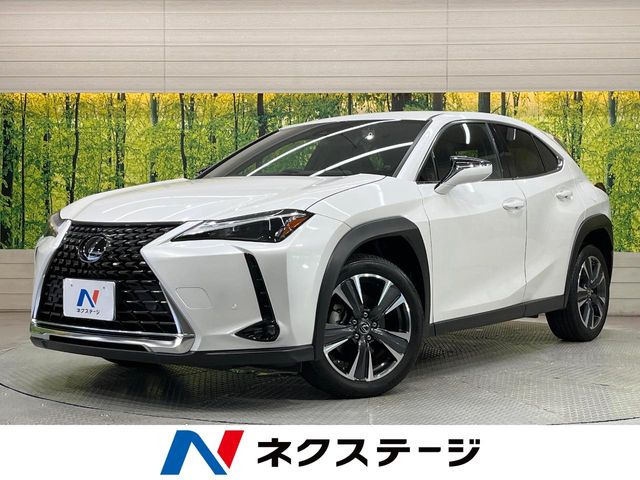 UX250h バージョンC
