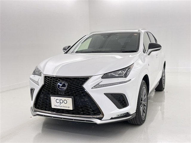 NX300h アーバンスタイル