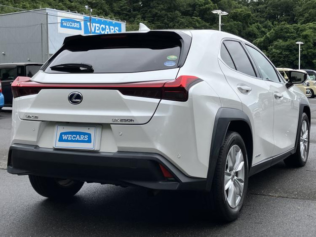 UX250h バージョンC